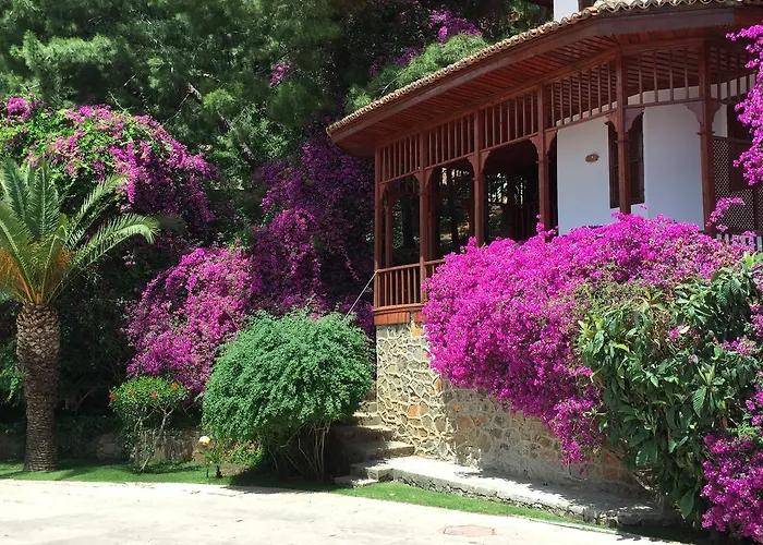 Club & Letoonia 费特希耶