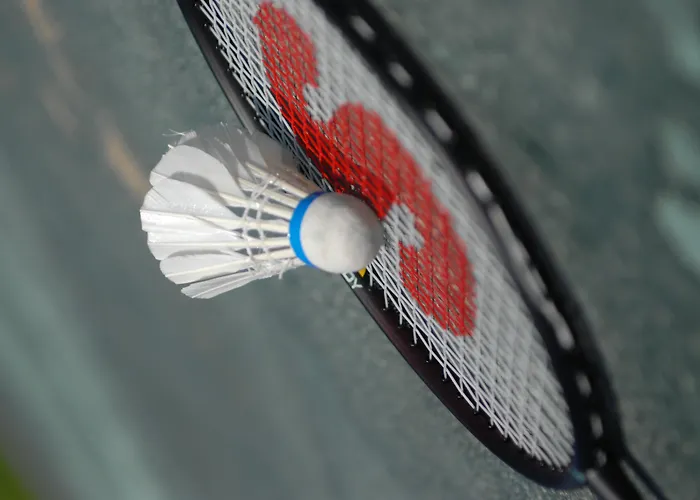 Resort Club & Letoonia